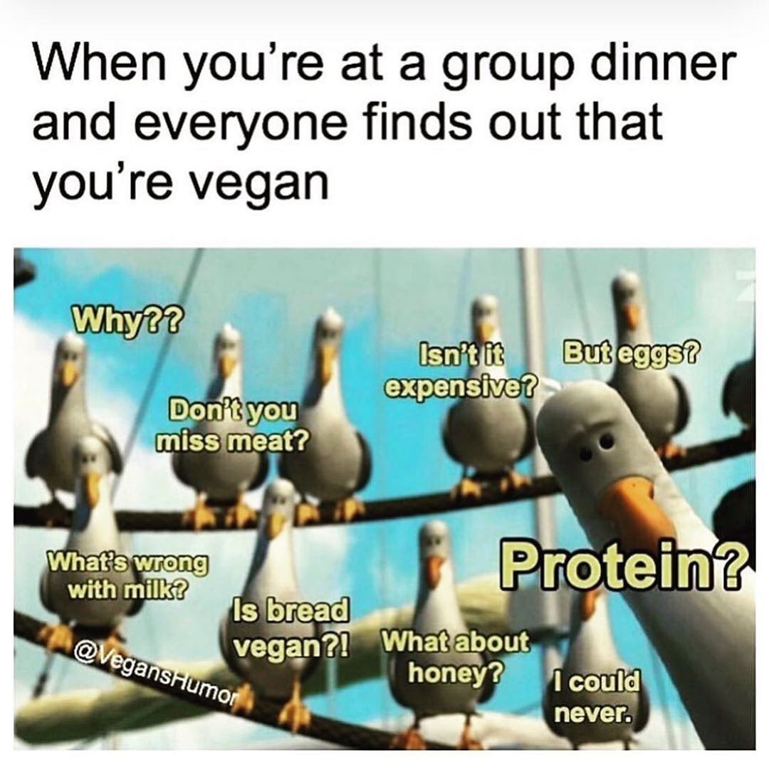 Imagem de meme sobre perguntas e comentários feitos a veganos